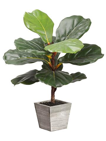 Artificial Fiddle Fig Leaf Plant in Wood Planter - 18