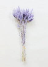 Load image into Gallery viewer, Dried Bunny Tail in Lavender
