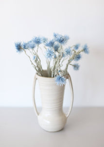 Dried Mini Silver Daisy in Light Blue