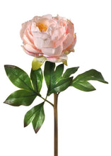 Load image into Gallery viewer, Blush Peach Real Touch Artificial Peony - 22&quot; Tall
