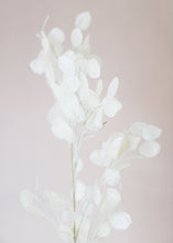 Load image into Gallery viewer, Artificial Lunaria Silver Dollar Coastal Flower Branch - 40&quot;

