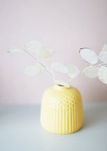 Load image into Gallery viewer, Plastic Lunaria Bundle - 12 Stem Bundle
