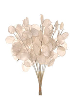 Load image into Gallery viewer, Plastic Lunaria Bundle - 12 Stem Bundle
