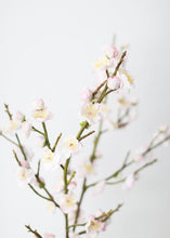 Load image into Gallery viewer, Blush Real Touch Fake Plum Blossom Flowers - 37&quot;
