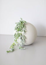 Load image into Gallery viewer, Real Touch Plastic Succulent Berry Hanging Vine
