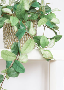 Artificial Hanging Hoya Leaf Bush