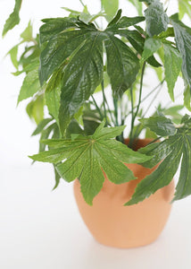 Fake Cannabis Leaf Marijuana Plant