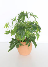 Load image into Gallery viewer, Fake Cannabis Leaf Marijuana Plant
