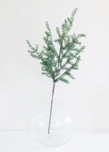 Load image into Gallery viewer, Real Touch Fake Winter Greens Silver Fir Branch - 42" Tall
