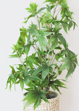 Load image into Gallery viewer, Fake Plants Marijuana Cannabis Leaves in Pot - 37&quot; Tall
