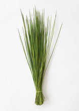Load image into Gallery viewer, Preserved Whip Grass
