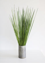 Load image into Gallery viewer, Preserved Whip Grass
