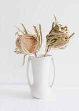 Load image into Gallery viewer, Pack of 2 - Dried Natural Banksia
