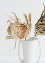 Load image into Gallery viewer, Pack of 2 - Dried Natural Banksia
