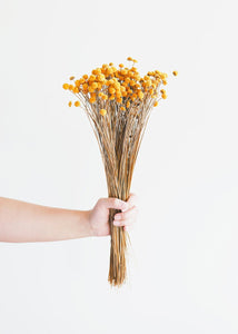 Golden Dried Floral Buttons
