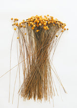 Load image into Gallery viewer, Golden Dried Floral Buttons
