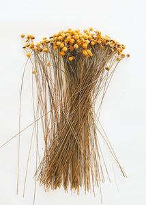 Golden Dried Floral Buttons