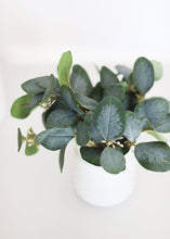 Load image into Gallery viewer, Artificial Silver Dollar Eucalyptus Bush in Grey Green - 9&quot; Tall
