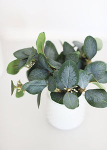 Artificial Silver Dollar Eucalyptus Bush in Grey Green - 9" Tall