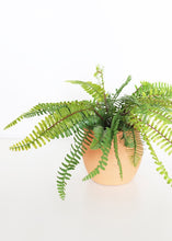 Load image into Gallery viewer, Soft Touch Artificial Boston Fern Bush - 12"
