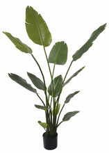 Load image into Gallery viewer, Fake Banana Leaves Tree Floor Plant in Pot - 48&quot;
