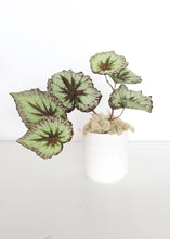 Load image into Gallery viewer, Flocked Fake Begonia Leaves in Purple Green
