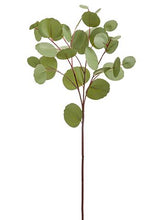 Load image into Gallery viewer, Natural Touch Artificial Silver Dollar Eucalyptus Leaves - 26.5" Tall
