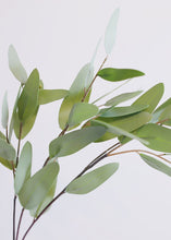 Load image into Gallery viewer, Faux Eucalyptus Branch - 31&quot; Tall

