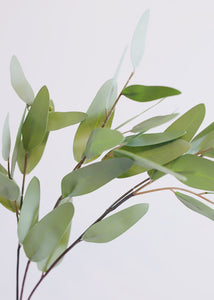 Faux Eucalyptus Branch - 31" Tall