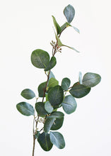 Load image into Gallery viewer, Artificial Eucalyptus Leaf in Grey Green - 30&quot; Tall
