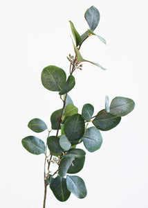 Artificial Eucalyptus Leaf in Grey Green - 30" Tall