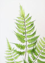 Load image into Gallery viewer, Artificial Forest Fern Leaves - 34&quot; Tall
