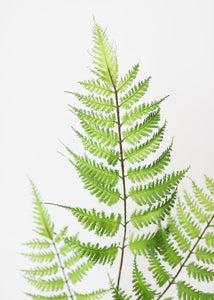 Artificial Forest Fern Leaves - 34" Tall