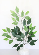 Load image into Gallery viewer, Artificial Deluxe Ficus Leaf Branch - 23&quot; Tall

