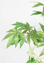 Load image into Gallery viewer, Fake Cannabis Marijuana Leaves - 40.5&quot;
