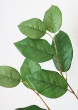 Load image into Gallery viewer, Artificial Salal Leaf Spray - 30&quot; Tall
