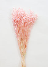Load image into Gallery viewer, Pink Dried Briza Maxima Grass
