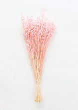 Load image into Gallery viewer, Pink Dried Briza Maxima Grass

