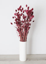 Load image into Gallery viewer, Dried Phalaris Grass in Berry Wine
