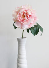 Load image into Gallery viewer, Silk Flower Peony in Pastel Pink - 23" Tall

