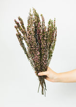 Load image into Gallery viewer, Naturally Preserved Pink Heather Flowers
