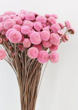 Load image into Gallery viewer, Pink Dried Floral Buttons

