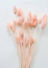 Load image into Gallery viewer, Pink Dried Phalaris Grass
