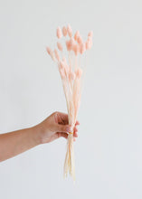 Load image into Gallery viewer, Pink Dried Phalaris Grass
