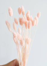 Load image into Gallery viewer, Pink Dried Phalaris Grass
