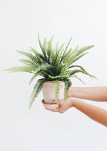 Load image into Gallery viewer, Artificial Potted Fern- 14&quot; Tall
