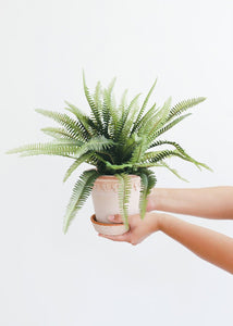 Artificial Potted Fern- 14" Tall