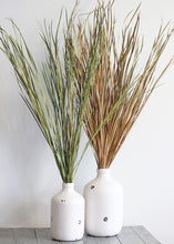Load image into Gallery viewer, Preserved Wild Grass in Green - 45-55&quot; Tall
