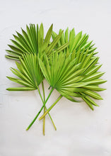 Load image into Gallery viewer, Pack of 5 - Green Sun Palms

