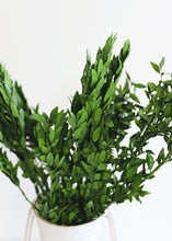 Load image into Gallery viewer, Preserved Boxwood Bundle

